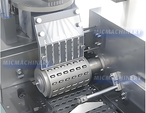 Capsule introduction mechanism