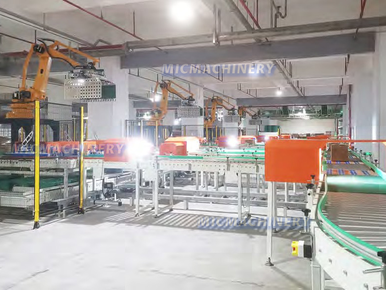 Packaging Line Carton Conveyor