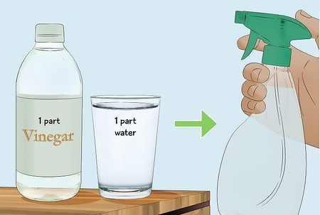 Vinegar Solution