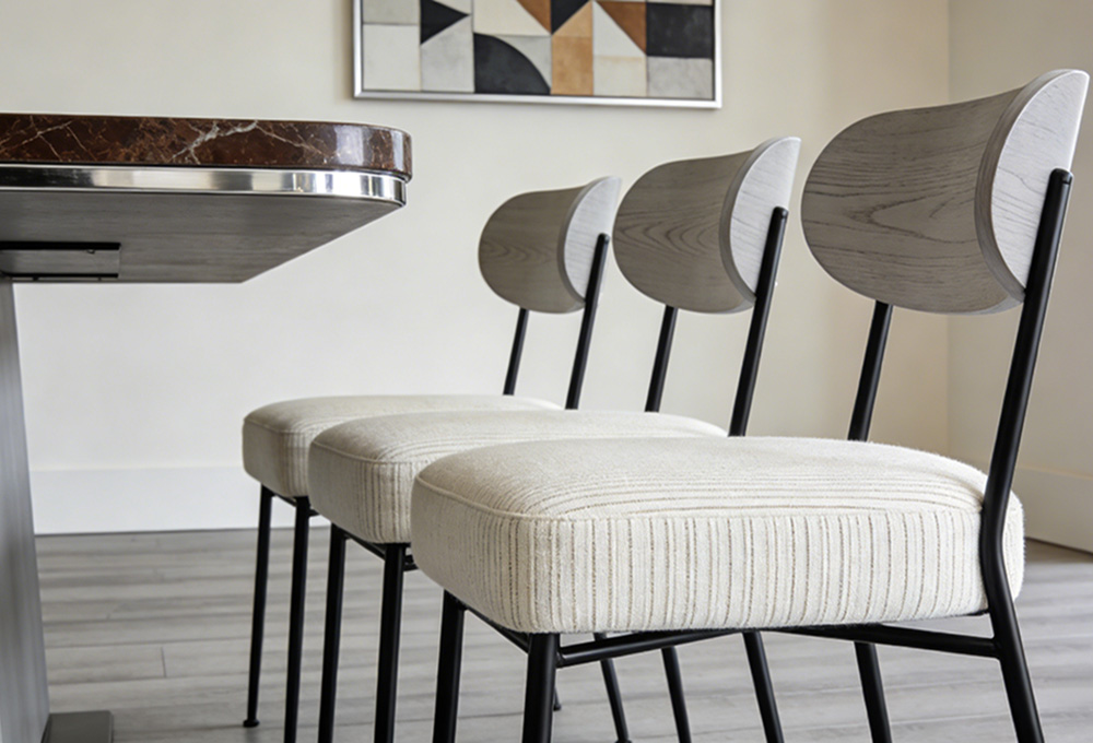 the new dining chair purchased