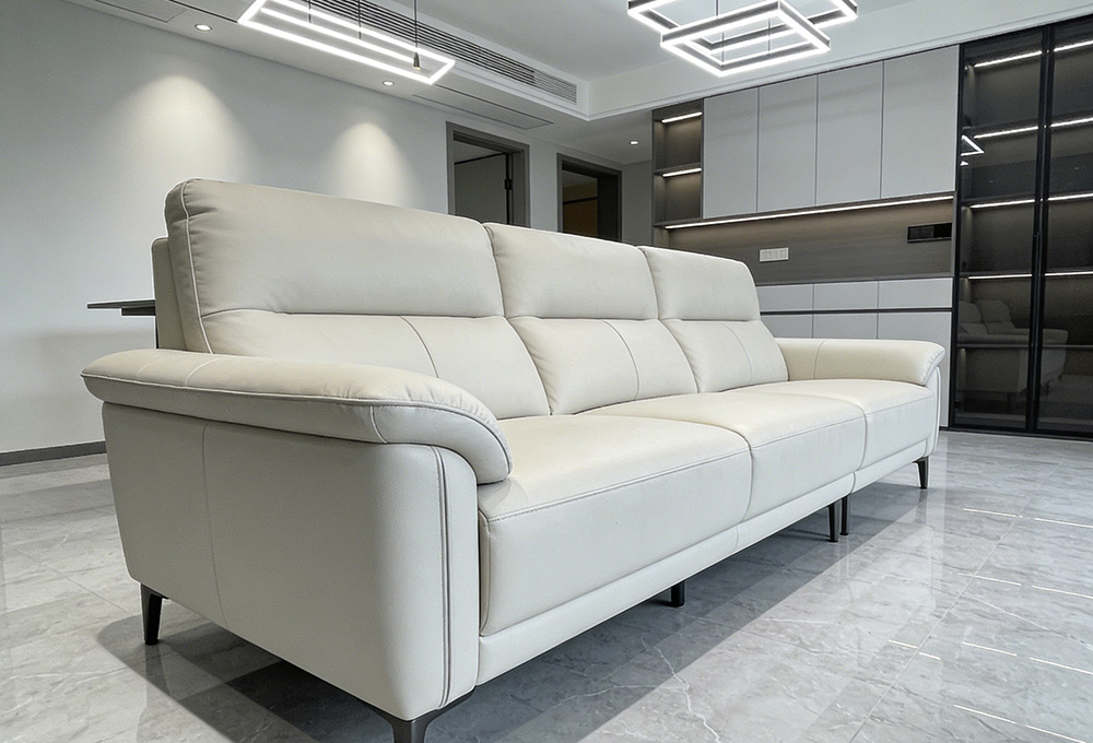 a genuine leather sofa