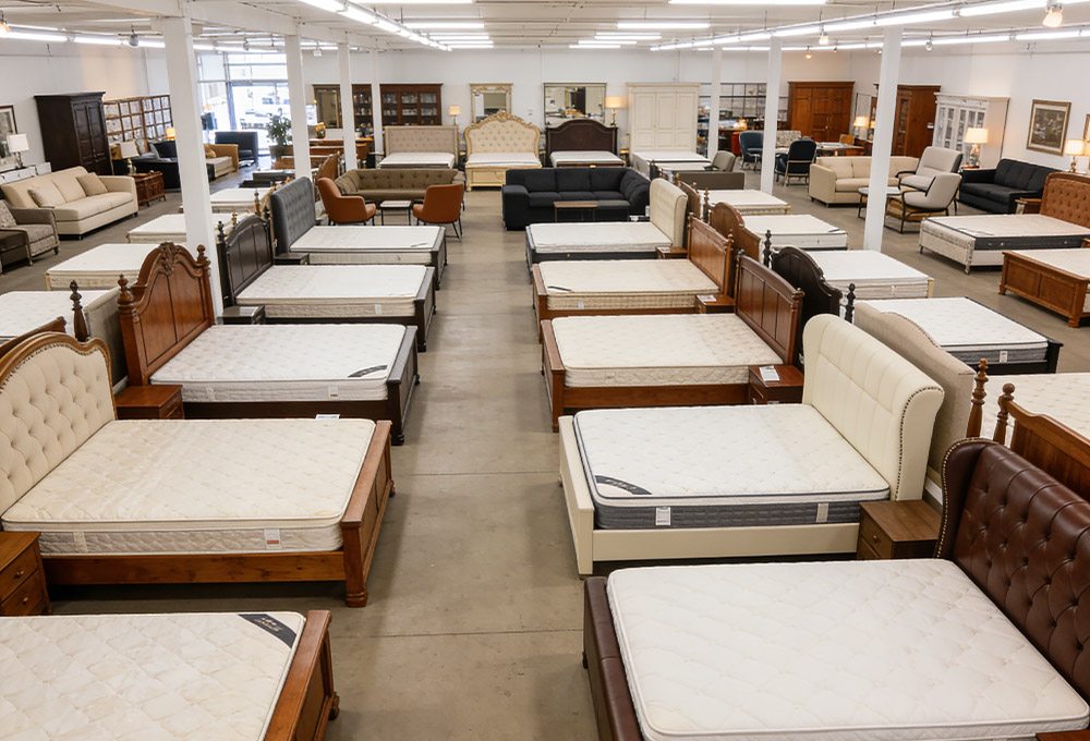 various furniture in the furniture store