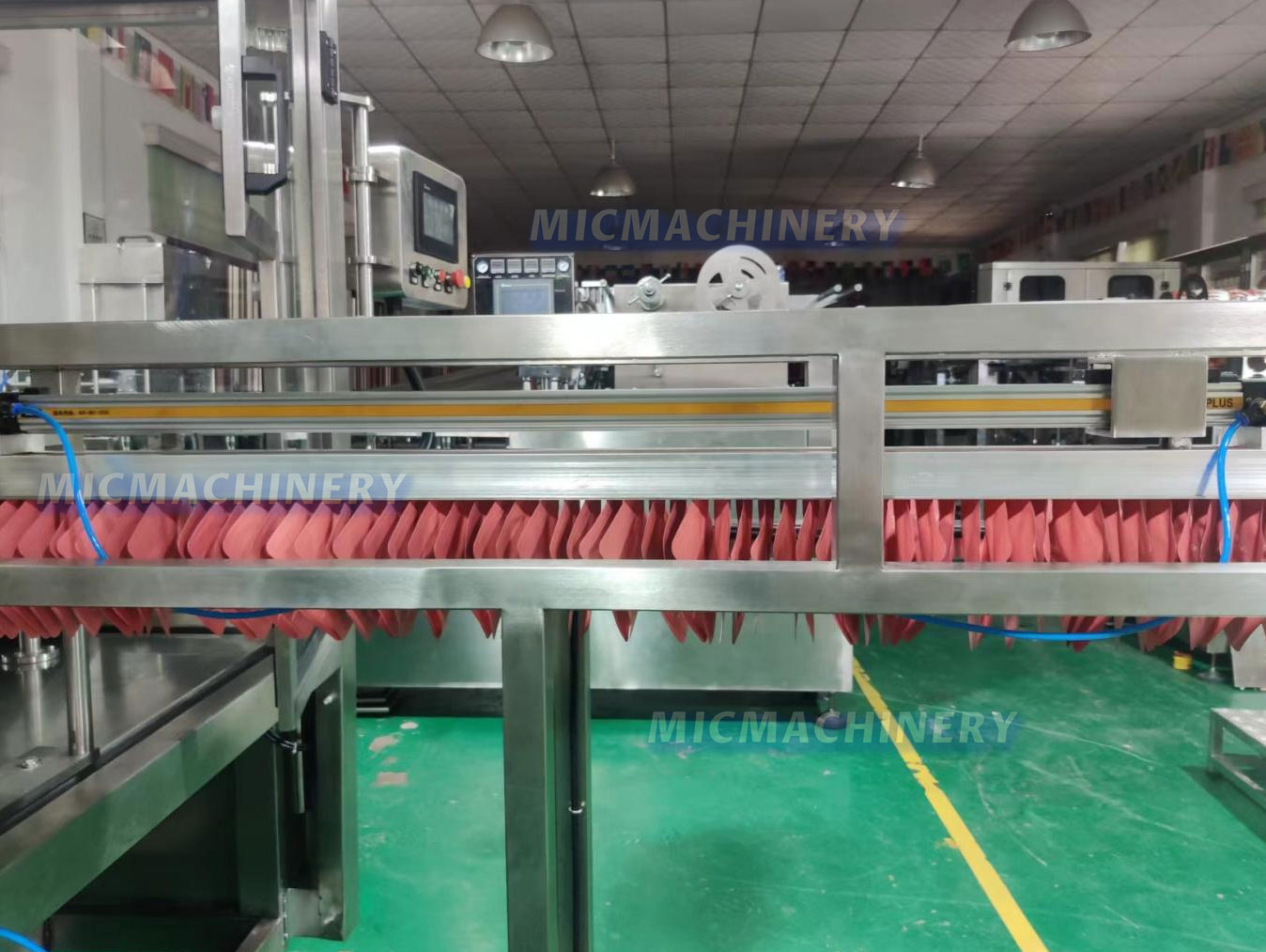 Bag Conveyor
