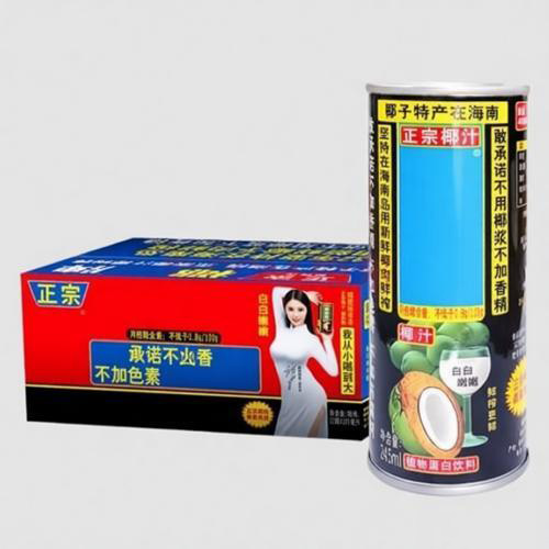 Carton Packing